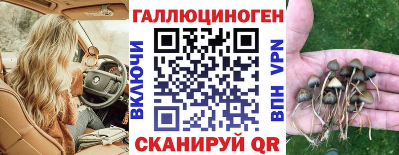 Псилоцибиновые грибы прущие грибы  продажа наркотиков  Пустошка 